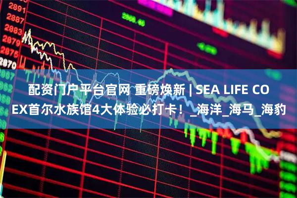 配资门户平台官网 重磅焕新 | SEA LIFE COEX首尔水族馆4大体验必打卡！_海洋_海马_海豹